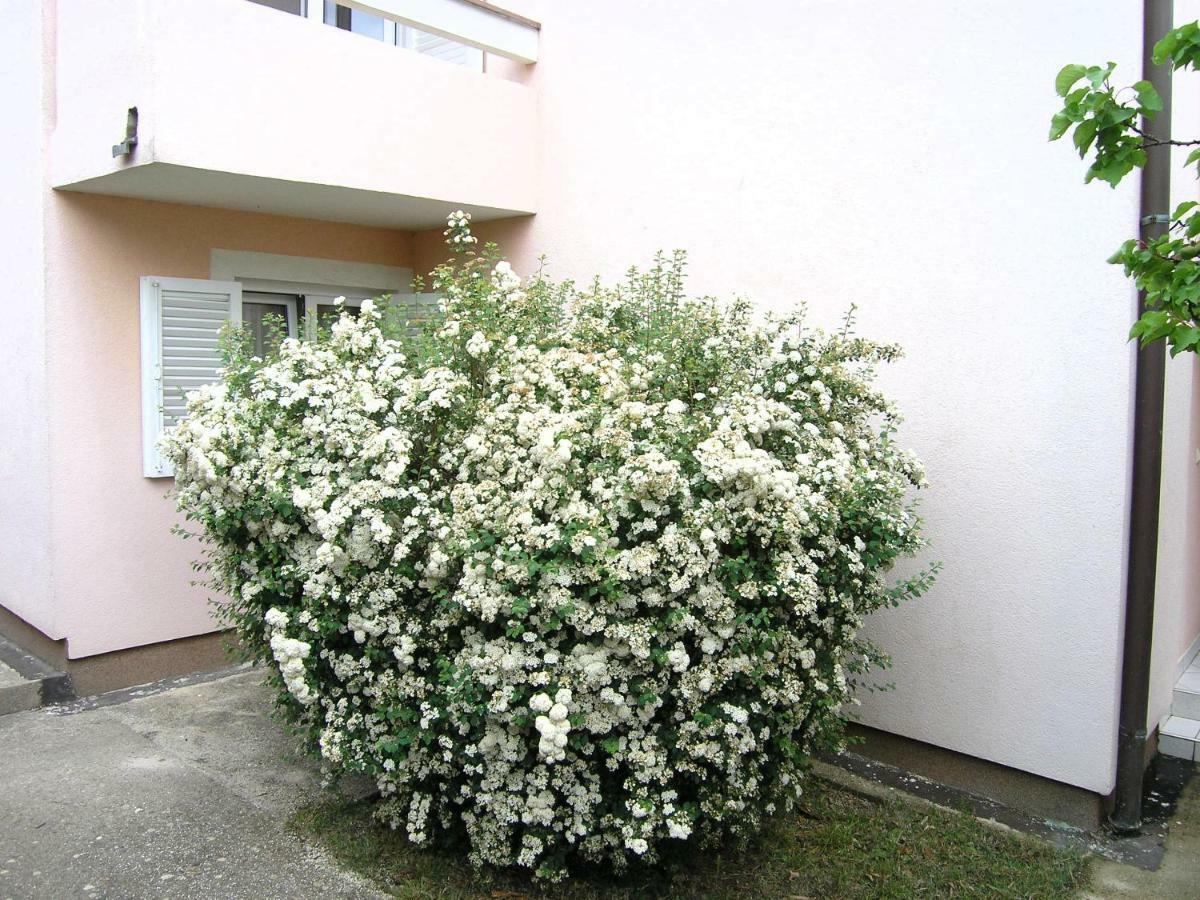 Apartments Sokolovic Крк Экстерьер фото